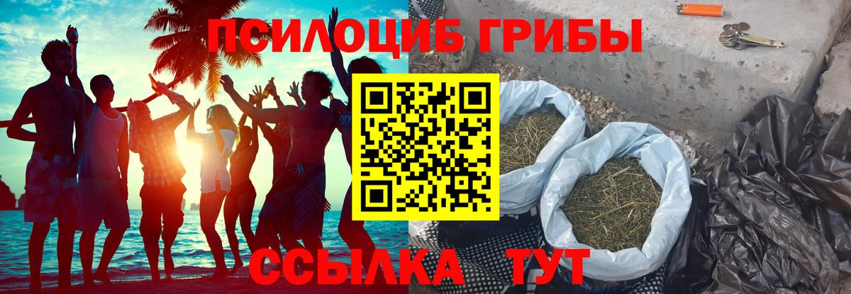 Галлюциногенные грибы Psilocybine cubensis  Вход с VPN  Семилуки  Галлюциногенные грибы Psilocybe 